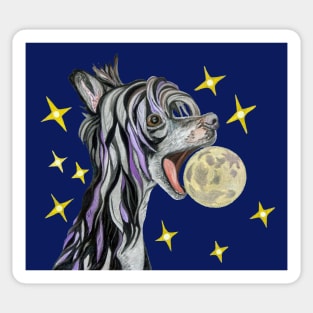 Sky Dog Biting the Moon Sticker